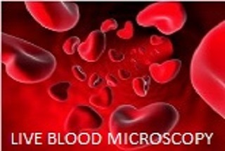 Live Blood Microscopy