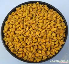 Fenugreek
